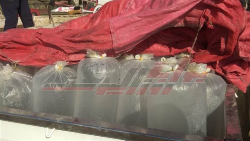 ضبط الزريعة