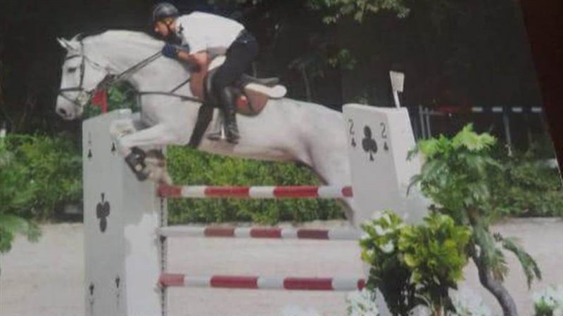 الخيل العربى الأصيلة