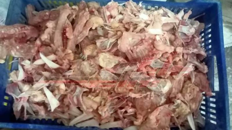 هياكل الدواجن