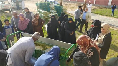 بحوث الصحراء يساهم فى دعم المرأة المعيلة بجنوب سيناء