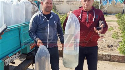 ضبط سيارتين محملين بـ 12700وحدة زريعة بكفر الشيخ وإعادة ضخها في بحيرة البرلس