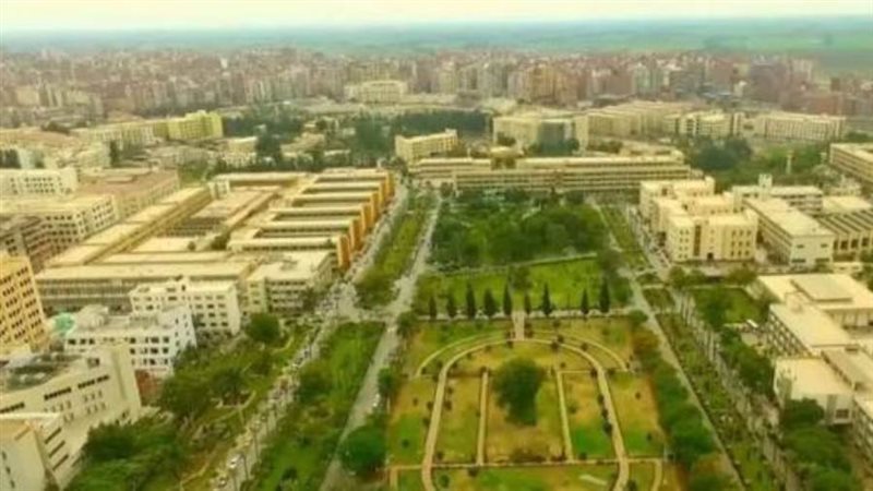 جامعة المنصورة