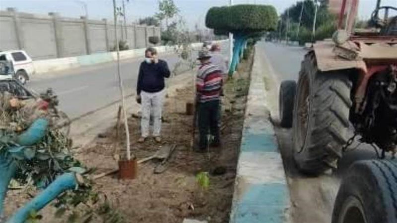 حملات نظافة الحدائق