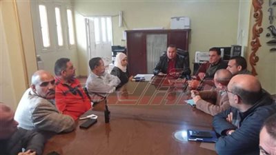 هيكل: يترأس المجلس التنفيذي لمدينة سيدي سالم