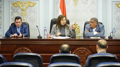 وزيرة التخطيط أمام 