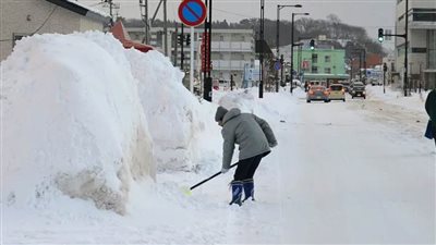لأول مرة منذ 128 عاما .. الصقيع في 