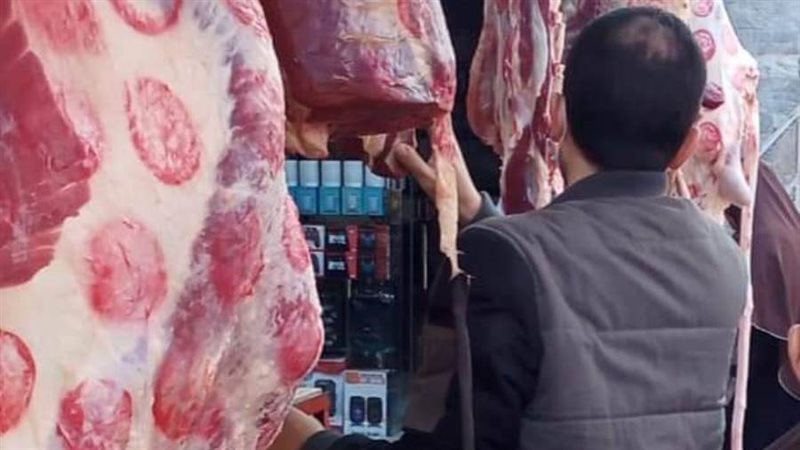 جهود الطب البيطرى