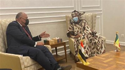شكري يبحث مع نظيرته السنغالية العلاقات الثنائية والقضايا محل الاهتمام المشترك