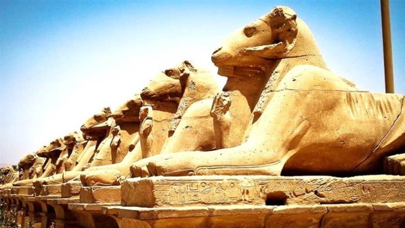 طريق الكباش