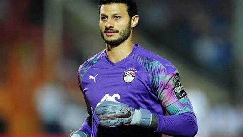 محمد الشناوي