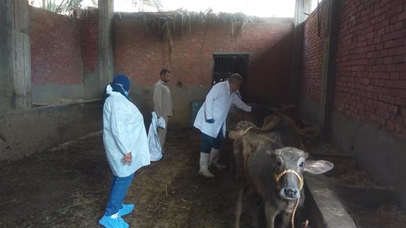 أطباء مديرية الطب