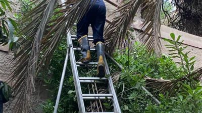 أمن القاهرة يساعد سيدة مسنة تعيش بمفردها أغلق عليها باب حجرتها