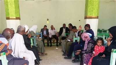 محافظ أسوان: لجان 