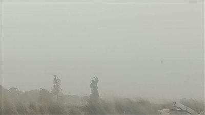 غيام وعاصفة هوائية شديدة محملة بالأتربة بالقليوبية