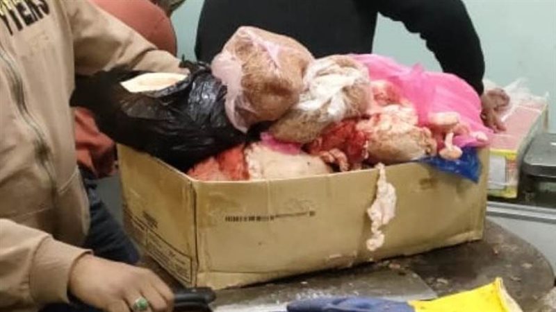 ضبط لحوم فاسدة بالمنوفية