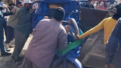 حملات مكبرة لإزالة الإشغالات ومنع عودة الباعة الجائلين  للشوارع بالإسكندرية