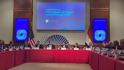  وزير البترول يبحث مع نواب الكونجرس التنسيق المصري- الأمريكي في منتدى غاز شرق المتوسط 