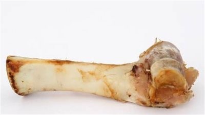 الطب البيطري بالقاهرة يطالب بعدم التخلص من عظام الحيوانات.. غنية بالعناصر الغذائية