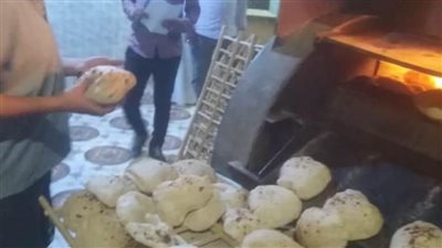 ضبط 119 مخالفة في حملة تموينية بالمنيا