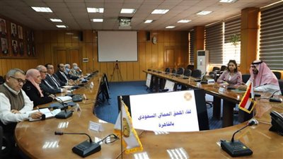  القوى العاملة تناقش آلية تنفيذ منظومة الربط الإلكتروني مع السعودية