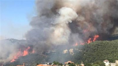 دراسة : دخان حرائق الغابات يتسبب في مشاكل عصبية مدى الحياة