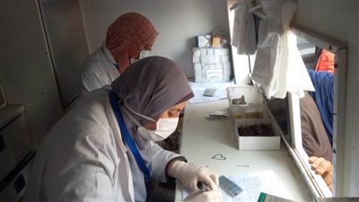 حياة كريمة| الكشف على ١٨٣٤ مواطنا في قافلة طبية مجانية بقرية سماديس بالبحيرة