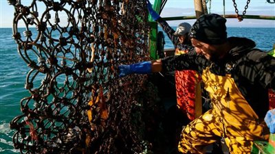 لندن تمنح باريس 23 ترخيصًا والأخيرة تطالب بـ80 رخصة إضافية