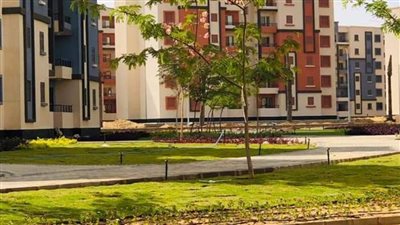 جهاز حدائق العاصمة يحتفل بمرور عام على قرار إنشاء المدينة