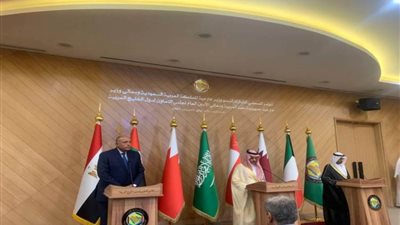 شكري يؤكد على خصوصية العلاقات بين مصر ودول الخليج العربي على جميع الأصعدة