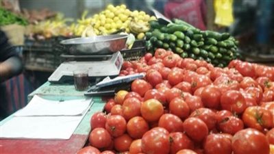 تموين شمال سيناء تعلن أسعار الخضر والفاكهة بسوق العريش