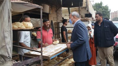 محافظ القليوبية يتفقد المشروعات وأعمال توسعة الطريق الدائري