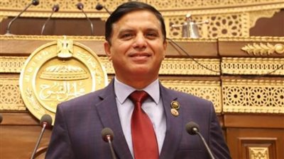 نصير: مكافحة مظاهر الفساد من أهم التحديات التي تواجه جهود التنمية الشاملة للدول