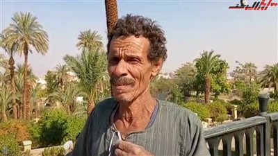 عم عزب النوبي.. 70 سنة بيطلع النخل وأغرب حكاويه مع ثعبان