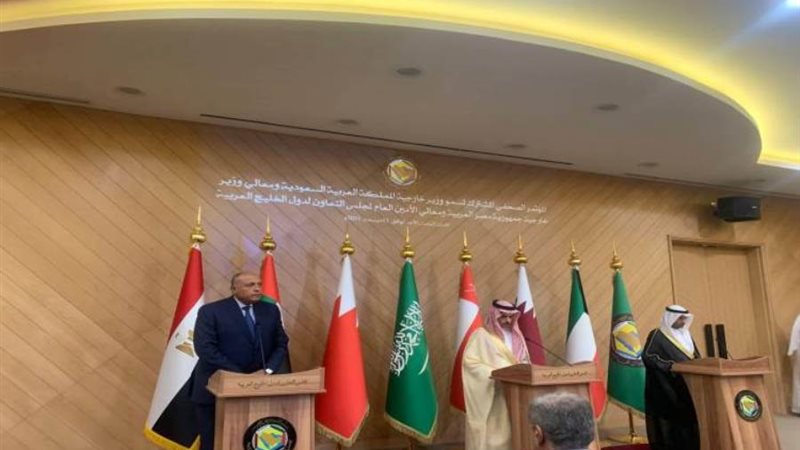 سامح شكرى وزير الخارجية