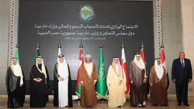 قادة مجلس التعاون الخليجي يؤكدون دعم أمن واستقرار مصر
