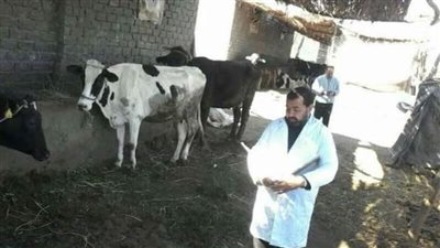 تسجيل ١٣٠٣٥ رأس ماشية وضبط 17 طن لحوم غير صالحة للاستهلاك الآدمي بالبحيرة