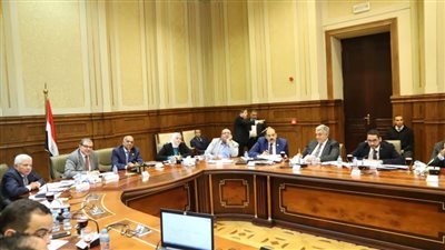 سعفان: مشروع قانون العمل الجديد يضع الدولة المصرية في مكانتها اللائقة بين دول العالم