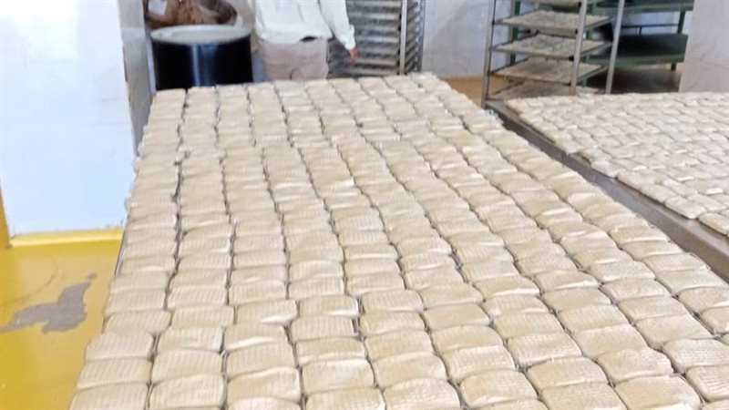 حملات رقابية على