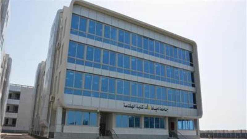 جامعة دمياط