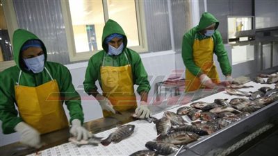 بركة غليون ومحطة الكهرباء والمتحف الجديد أبرز المشروعات القومية بكفرالشيخ