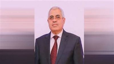  رئيس وحدة غسل الأموال: مصر اتخذت إجراءات عديدة لمكافحة التدفقات المالية غير المشروعة