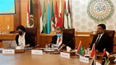  وزير الكهرباء: الربط الكهربائى يمهد الطريق لإقامة سوق عربية مشتركة 