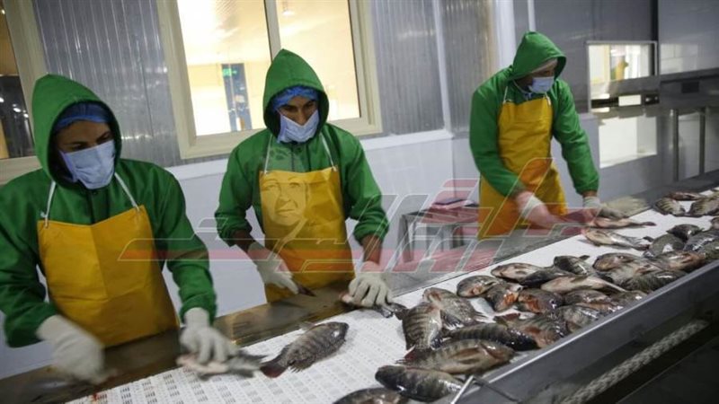 مزرعة بركة غليون