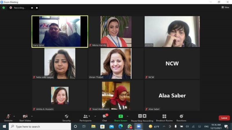 جانب من اللقاء عبر