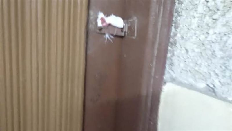 صورة ارشيفية