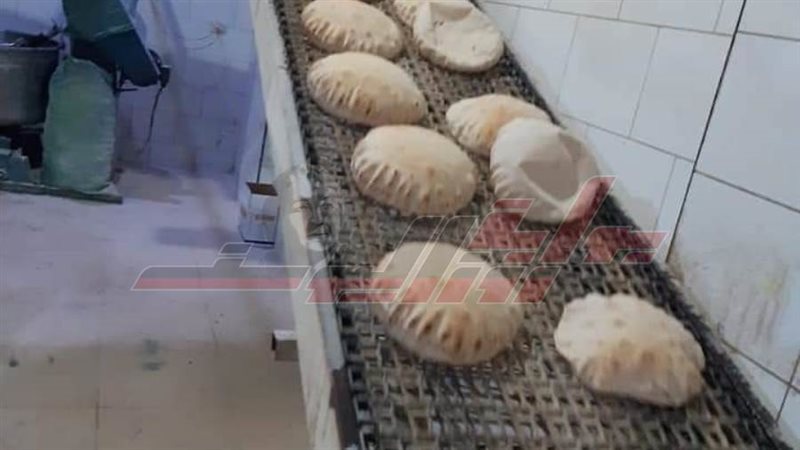 مخابز كفرالشيخ