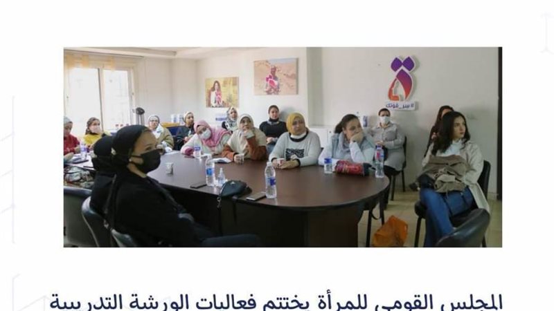 جانب من مشروع she