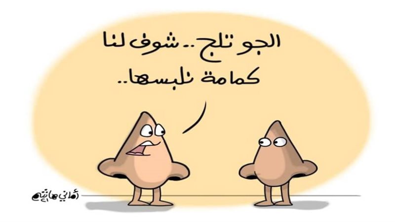 ريشة أماني هاشم