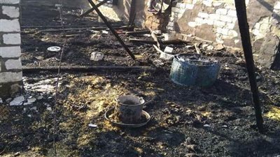 نفوق 4 آلاف كتكوت في حريق بإحدى المزارع بـ”المنوفية“