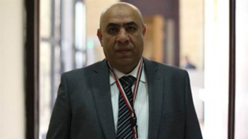 النائب علاء عبد النبي